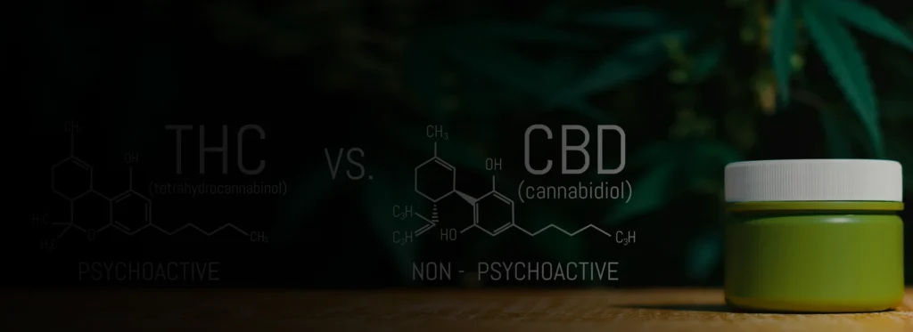 CBD vs THC