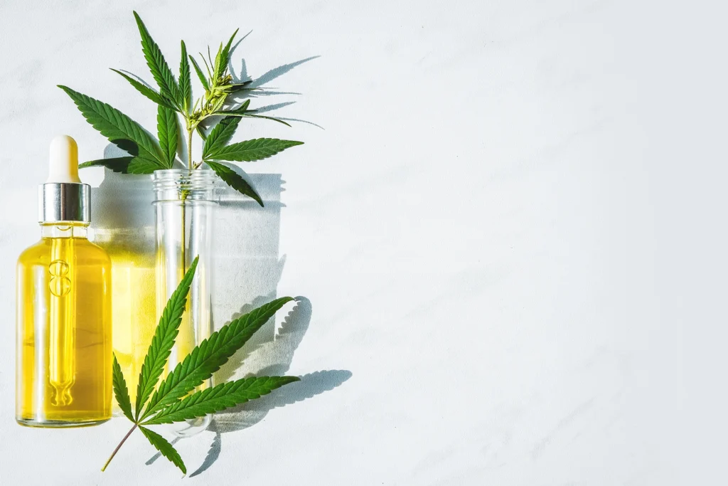 Épicer votre cuisine avec le CBD