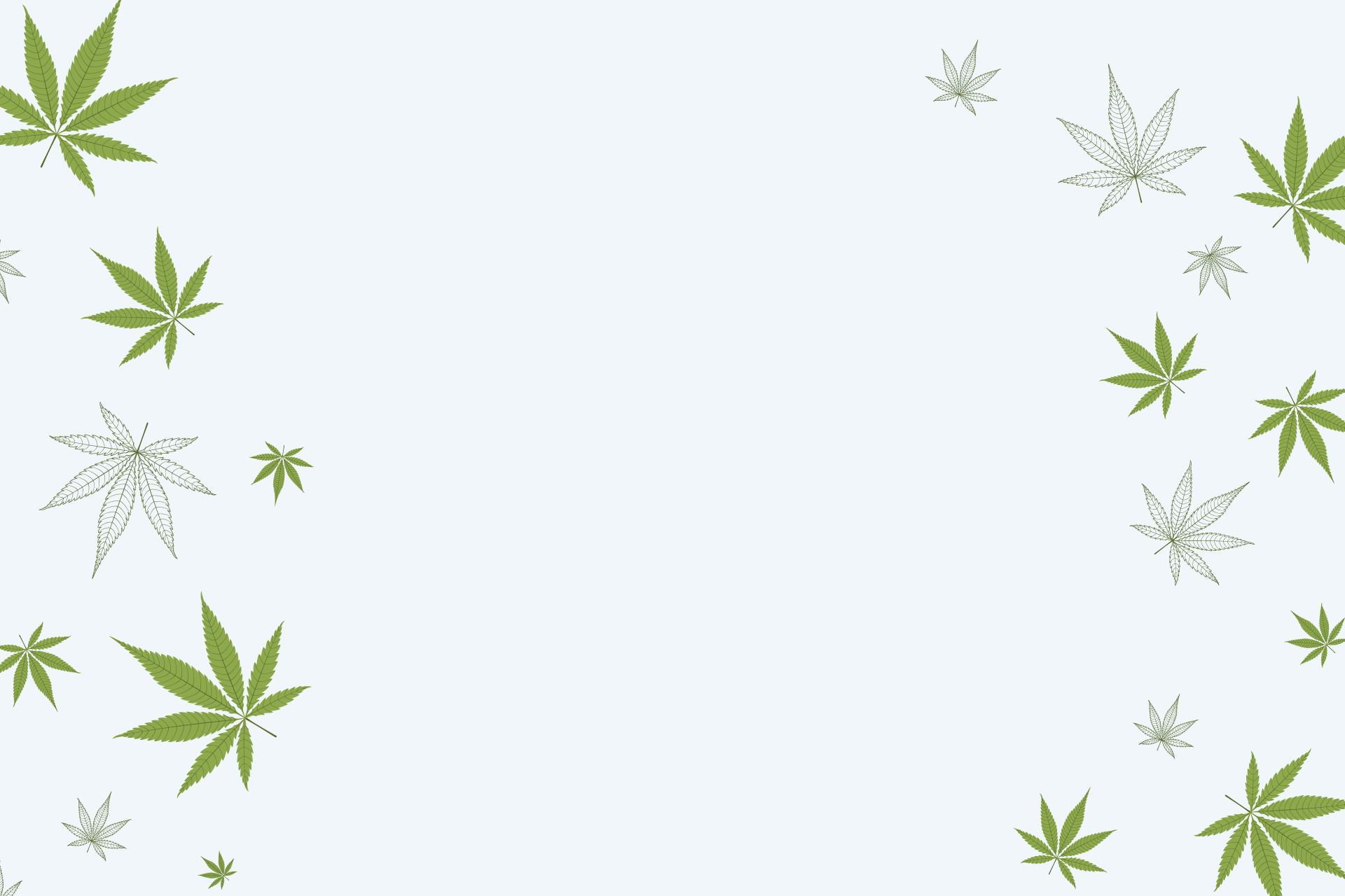 Le cannabis en détail